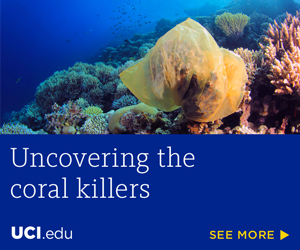 Uncovering the coral killers