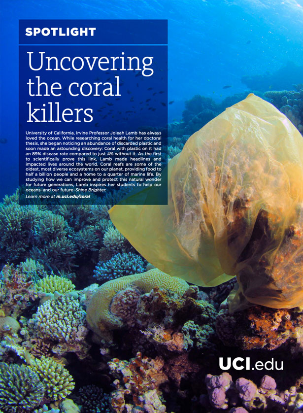 Uncovering the coral killers